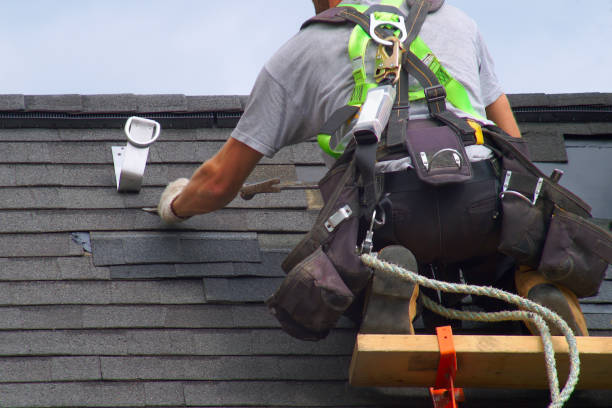 Best Roof Moss and Algae Removal  in Forest Park, IL