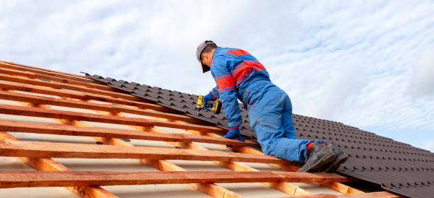 Best Asphalt Shingle Roofing  in Forest Park, IL